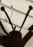 Wall_Art_Alphabet_Photography_Art_ 2308